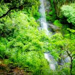 Chadwick Falls Travel Guide and Tourism in Shimla, Himachal Pradesh