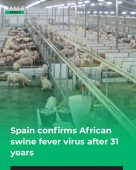 Spain Responds to African Swine Fever Detection in Wild Boars