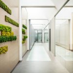 Proyectos jardines verticales