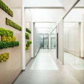 Proyectos jardines verticales